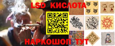 гидропоника Ипатово