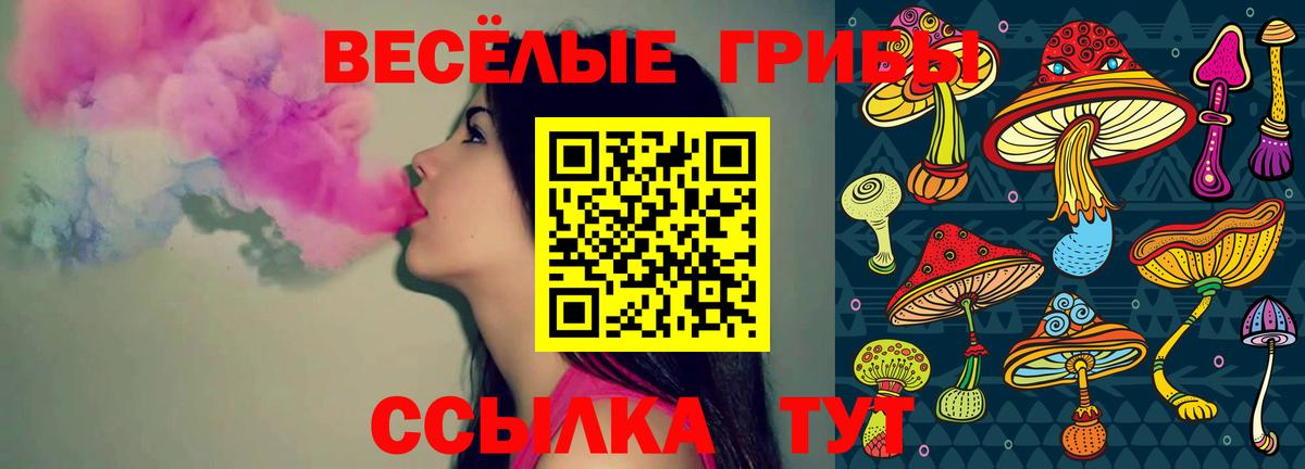 Минеральные Воды  Псилоцибиновые грибы Psilocybine cubensis  Галлюциногенные грибы GOLDEN TEACHER  Вход с VPN 
